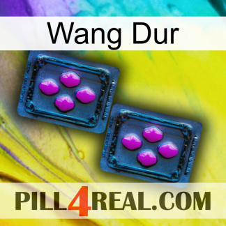 Hard Wang 03